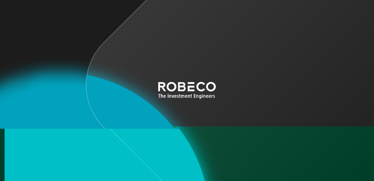 Dynamic Theme Machine UCITS ETF USD Acc - IE000VG2WCW5 | Robeco Global